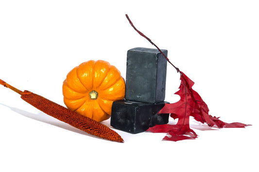 Charcoal Tea Tree Soap Bar Handcrafted Soap Olivia's Heritage